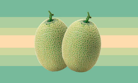 boobsexual flag by ANONYMOUS (for now??)